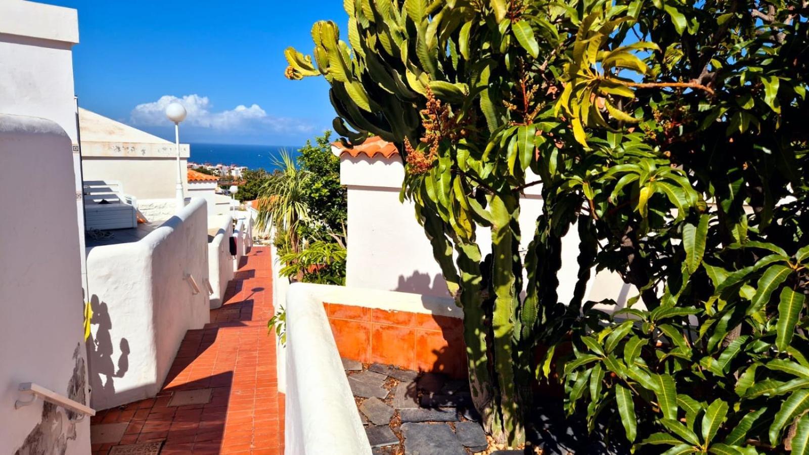 Costa Adeje Bungalow -Tenerife Eksteriør bilde